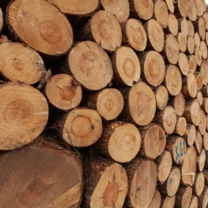 hardwood logs for sale