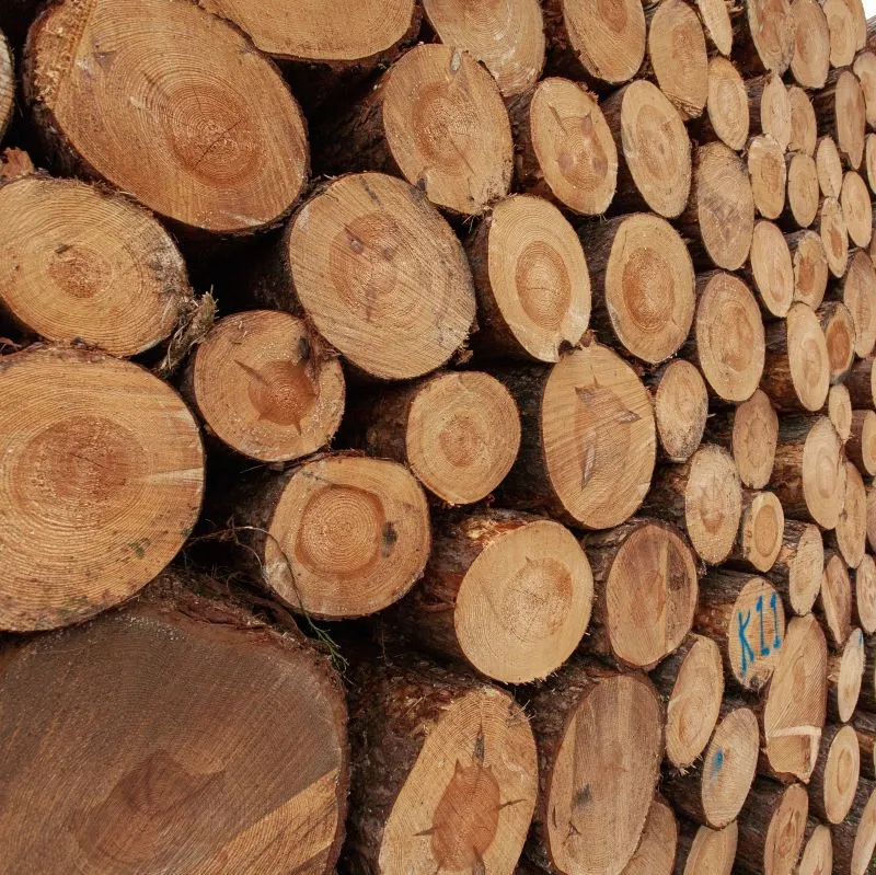 hardwood logs for sale